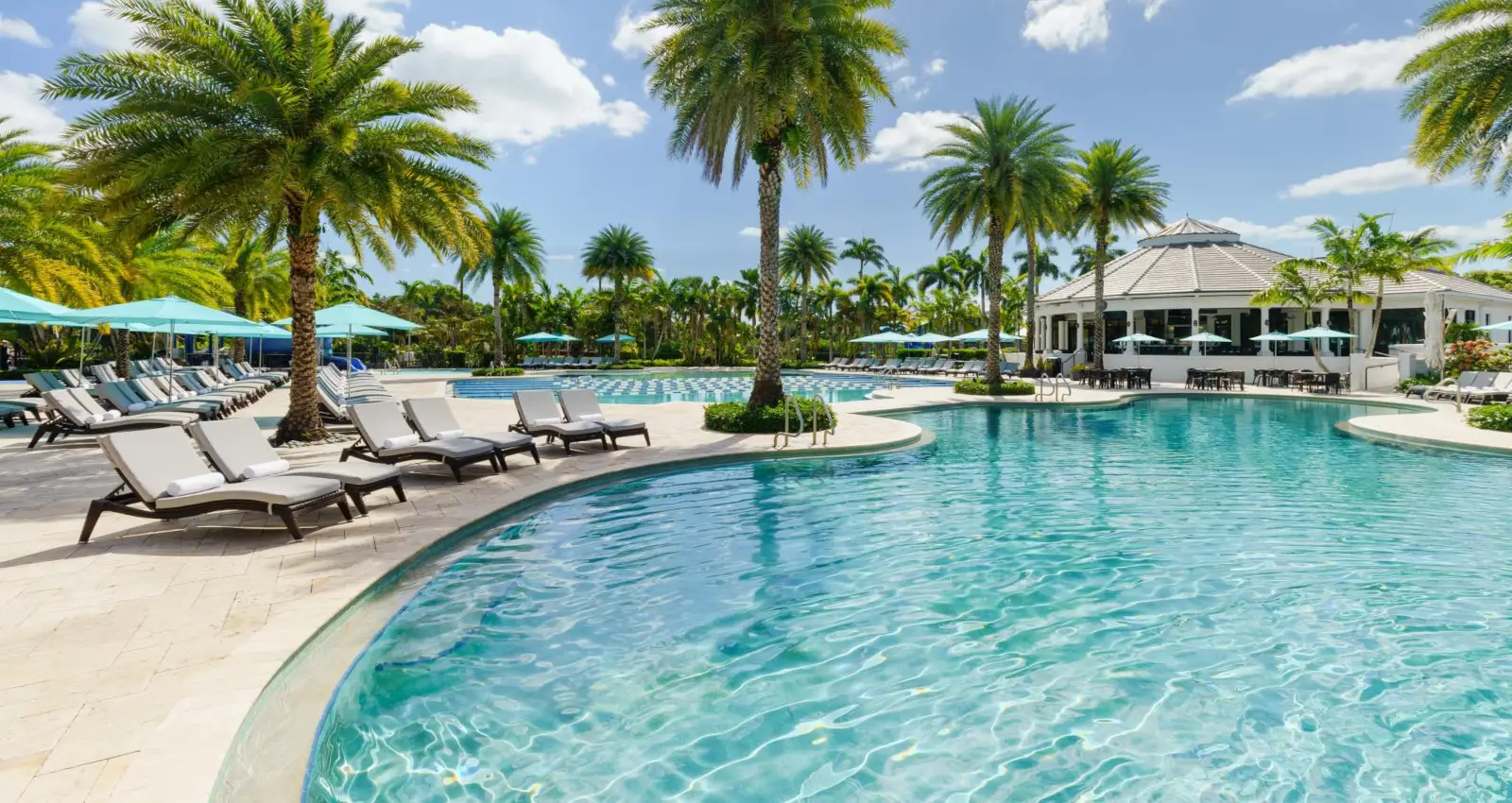 The resort pool, with palms and chaise lounges